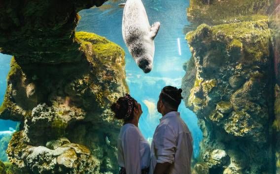 Genua: Aquarium von Genua - zeitgebundenes Ticket