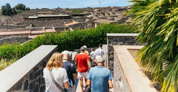Desde Nápoles: Excursión de un Día a las Ruinas de Pompeya y el Vesubio