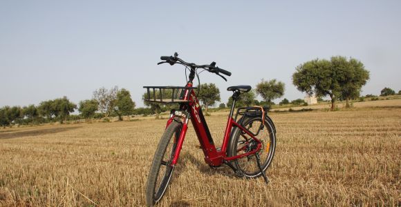 Bari: Wycieczka rowerowa do lasu Mercadante