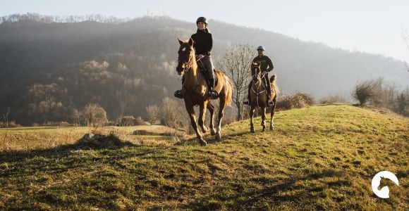 Comer See: Abenteuer auf dem Pferderücken & Verkostung mit atemberaubender Aussicht