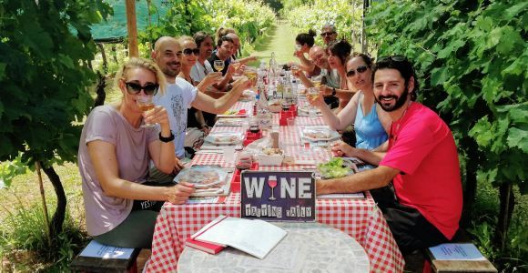 Lucca: Guided E-Bike and Wine Tour