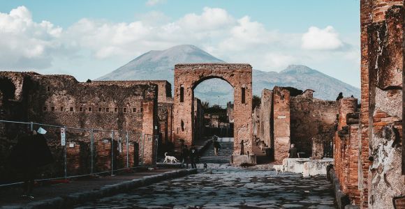 From Naples: Pompeii and Herculaneum Tour with Lunch