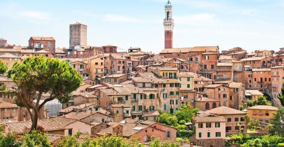 Siena, San Gimignano Vino Chianti desde Pisa en Minivan
