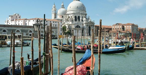 Da Parenzo: Venezia in catamarano con opzione di sola andata