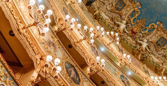 The Majestic Teatro La Fenice: Guided Tour in Venice
