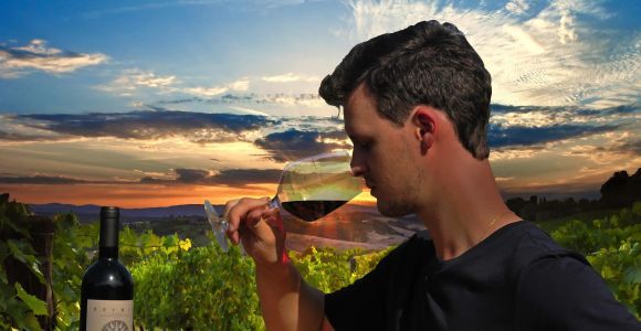 Siena: Educational Wine Tour & Tasting