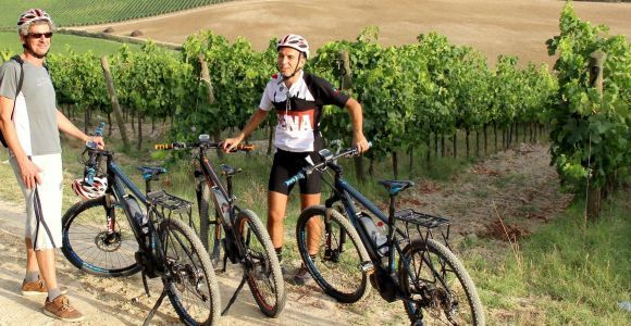 Von Siena aus: Chianti Countryside E-Bike Tour mit Mittagessen und Wein