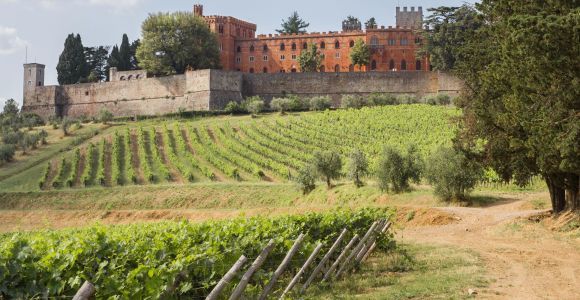 Ab Siena: Chianti-Weintour mit Mittagessen