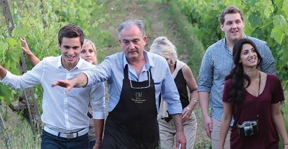 San Gimignano : Promenade dans les vignobles avec dégustation de vin