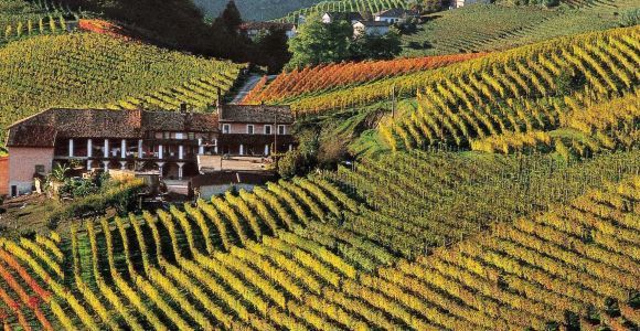 Ab Turin: Tour durch die Region Langhe mit Weinprobe