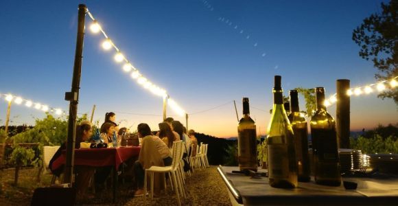 De Sienne à Chianti : dîner et boissons dans les vignobles du Chianti