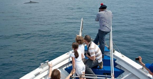 Aquarium of Genoa Ticket and Whale Watching Cruise