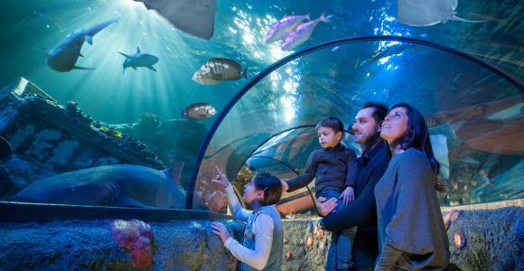 Gardaland SEA LIFE Aquarium: Open Date Entry Ticket