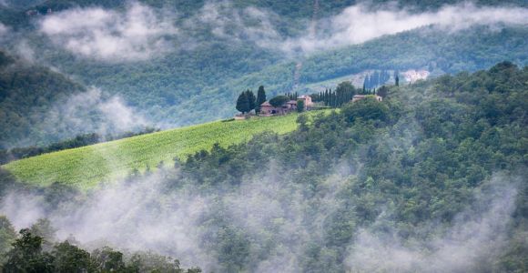 Chianti: Total Immersion Wine Tour with Picnic Lunch