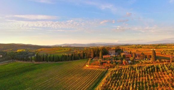 Arezzo : Dégustation de vins dans le Val di Chiana