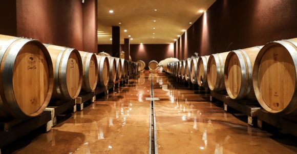 Lac de Garde : Visite et dégustation de vins à Bardolino