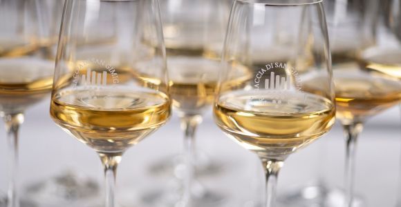 San Gimignano: esperienza di degustazione di vini Vernaccia