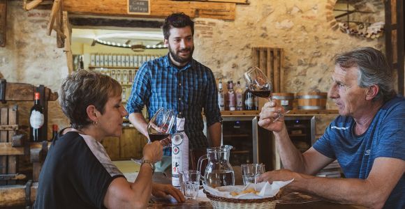 De Vérone : Visite des vignobles de la Valpolicella avec les millésimes d'Amarone