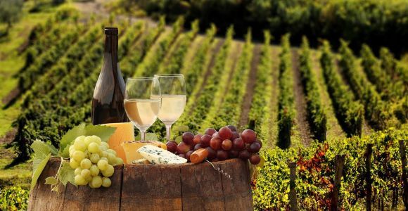 Linguaglossa: Wine Tasting Experience at Etna Nord