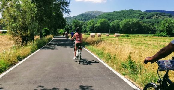 Lucca: Tour guidato in bicicletta sulle Strade del Vino