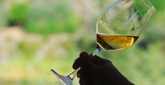 Manarola : Dégustation de vins de Cinque Terre