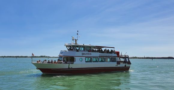 Desde Venecia: tour panorámico en barco por Murano y Burano
