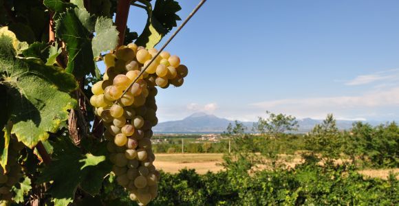 Lake Garda: Sirmione E-bike rental with App and Wine Tasting