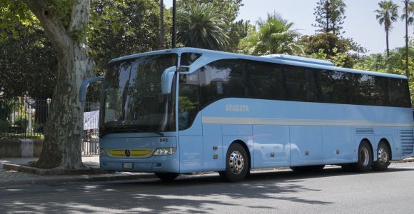 Aeroporto di Palermo: Trasferimento in autobus condiviso a Trapani