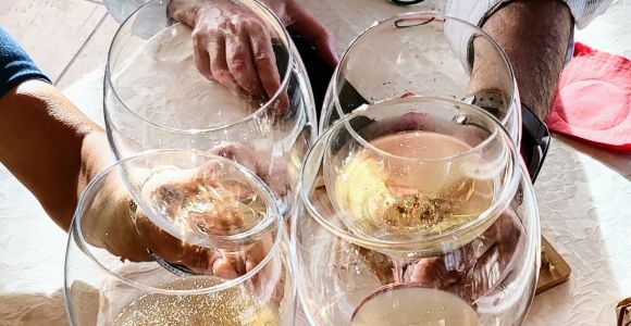 Franciacorta : Visite guidée des vins, journée complète avec déjeuner