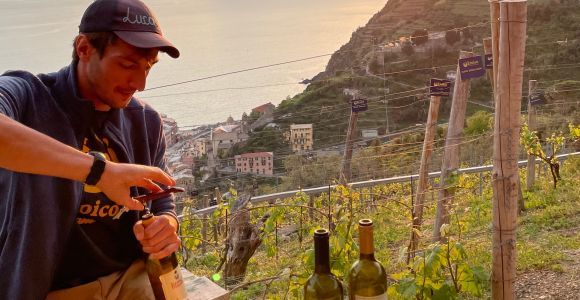 Vernazza: Panoramic Vineyard Trekking Tour w/ Wine Tasting