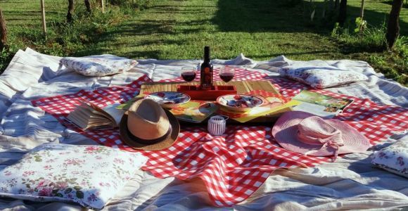 Lucca: Fahrradverleih mit Picknick-Mittagessen auf einem Weingut