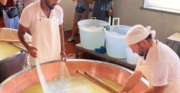 Parma: Visita a una quesería tradicional con degustación