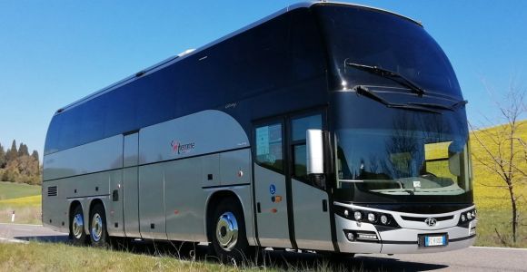 Rome: Fiumicino Airport Bus Shuttle to/from Orbetello