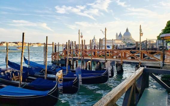 Venezia: Tour dei punti salienti, Basilica di San Marco e Palazzo Ducale