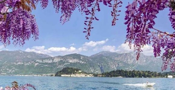 Desde Como: Excursión de un día al Lago de Como, Bellagio y Lugano