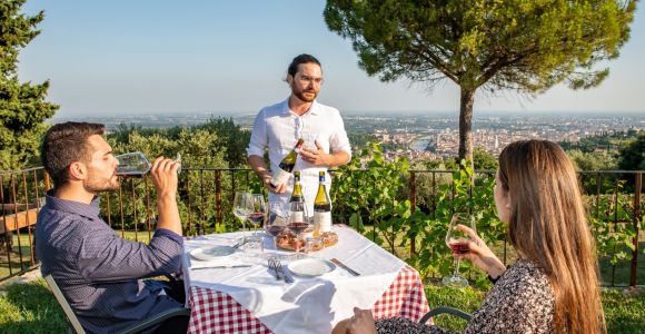 Verona: Cata de vinos con aperitivos y vistas panorámicas de la ciudad
