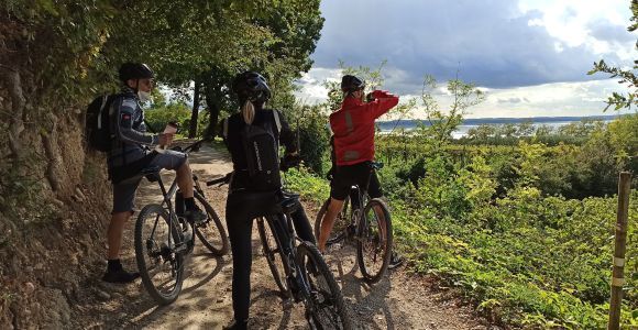 Bardolino: tour in e-bike e degustazione di vini in collina