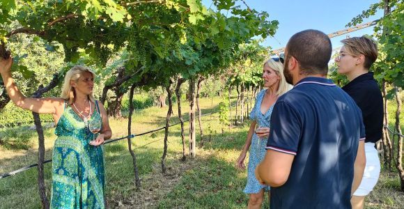 Cavaion : Dégustation de vins et de mets du lac de Garde avec visite du vignoble