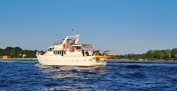 Umag: Sunset Cruise with Dolphin Spotting