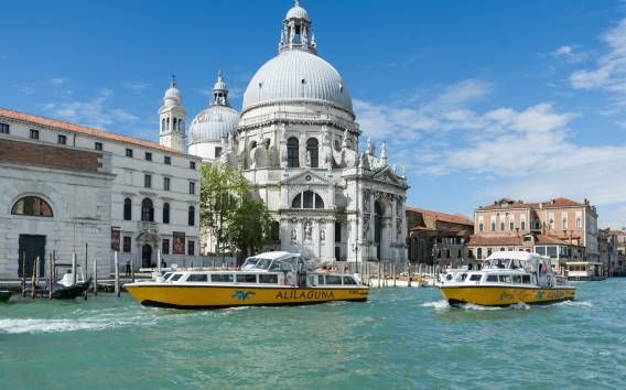 Wenecja: Transfer łodzią na/z lotniska Marco Polo w 3 trasach