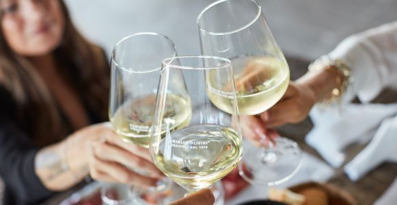 Desenzano: degustazione di vini Lugana con visita ai vigneti