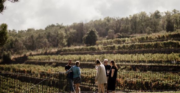 Linguaglossa: Wine Tasting Experience all'Etna Nord