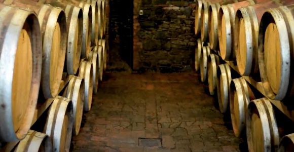 From Siena: Brunello di Montalcino Wine Tour by Minivan