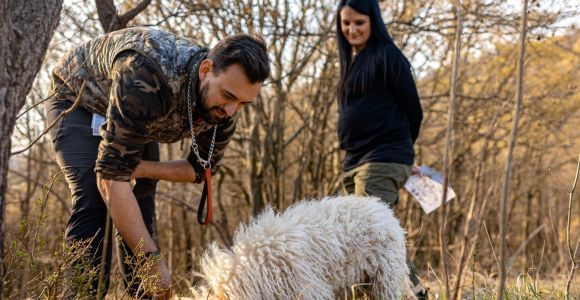 Langhe: Sunset Truffle Hunting with Tasting & Wine