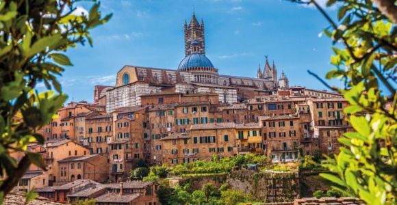 Siena: Tour guidato a piedi con ingresso alla Cattedrale