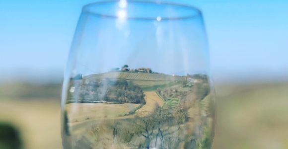 Montepulciano: Wine Tour and tasting