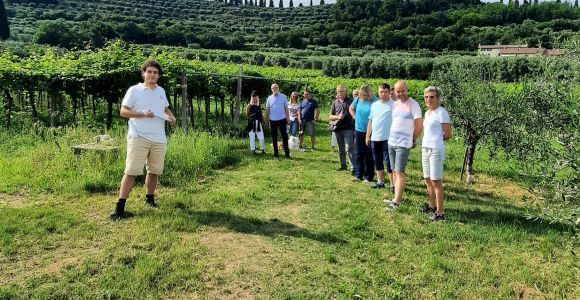 Bardolino: Tour gastronomico con degustazione di vino, olio d'oliva e prodotti alimentari